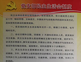 中共兰州市名家字画收藏协会党支部民主生活会制度