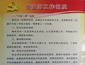 中共兰州市名家字画收藏协会党支部工作制度